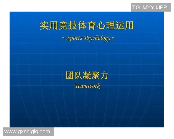 运动数据南京网球队如何通过团队协作变革提升竞技水平与凝聚力