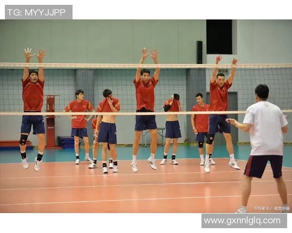 运动最新数据排球新手必看个人能力提升全攻略与入门技巧分享