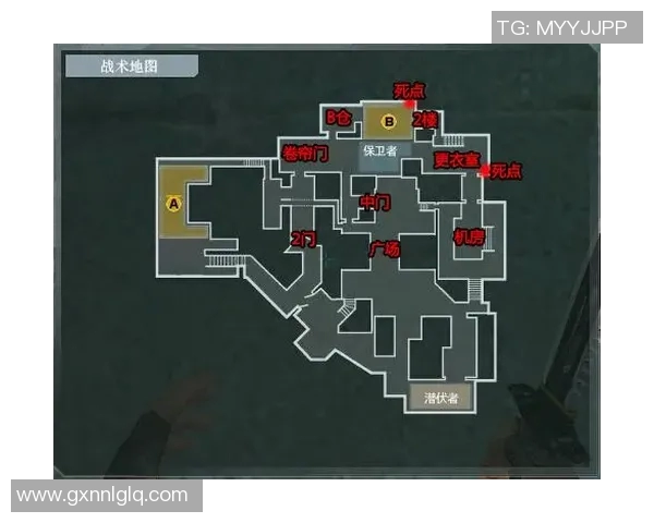 实时新闻南京网球队区域防守战术深度解析与实战应用探讨